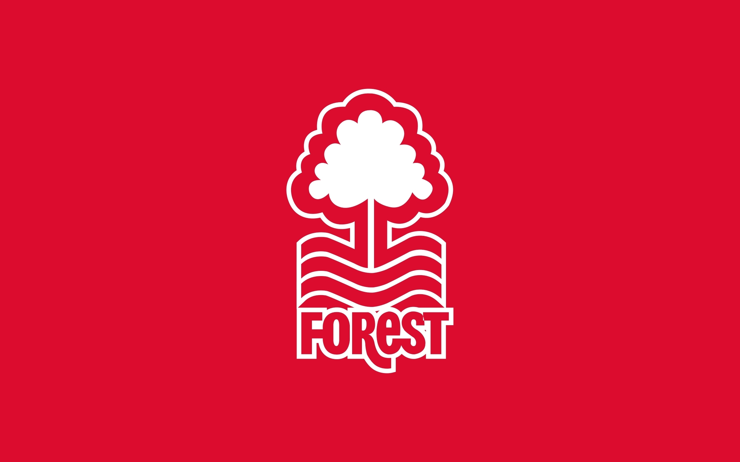 Nottingham Forest Primary logo v2 t shirt iron on transfers